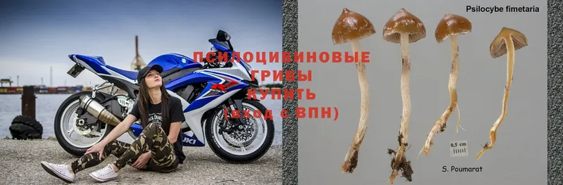 Галлюциногенные грибы MAGIC MUSHROOMS Микунь